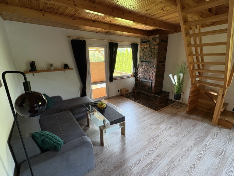 Domek II salon, kominek, taras
